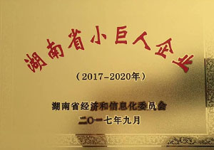 湖南省小巨人企業